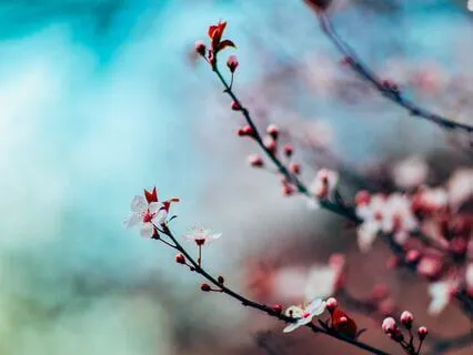 Permission To Slow Down - A Reflection