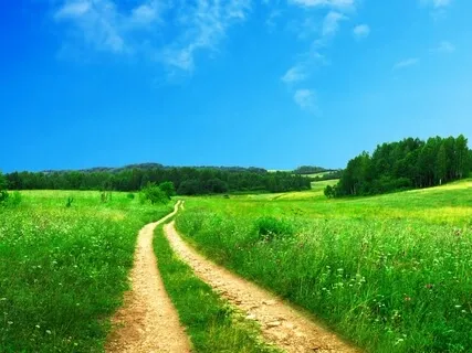 Perseverance - Never Give Up