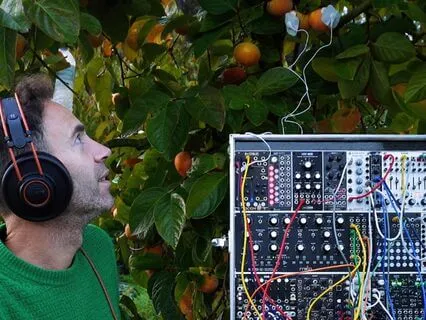 Persimmon Vibrations – The Frequency Of Inner Sweetness