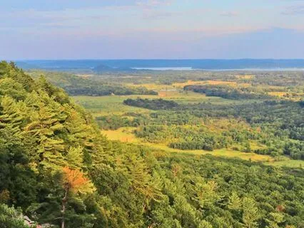 Persistent Efforts In Concentration