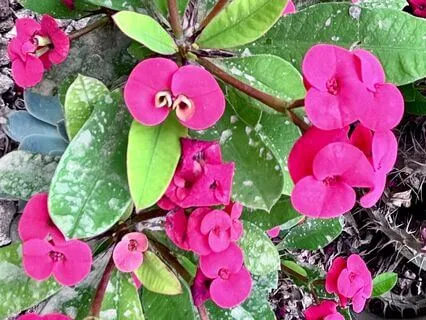 Personal Brand Affirmations