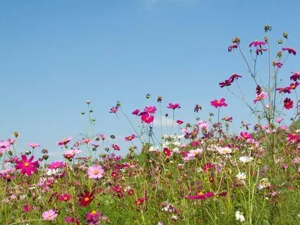 Personal Fulfillment