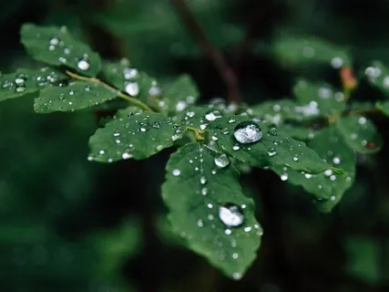 Personal Healing Practice