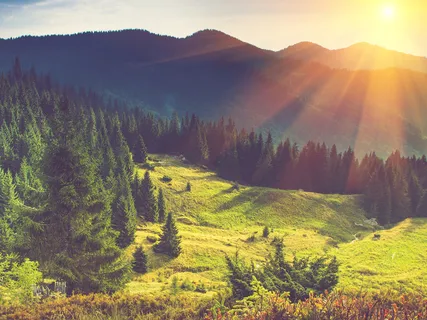 Personal Noting Practice