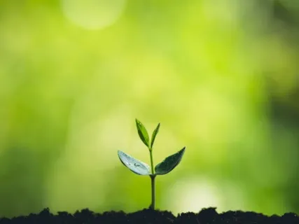 Personal Power & Self-Love