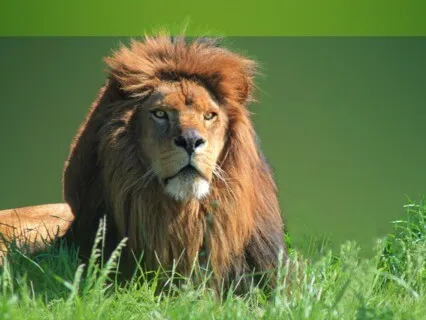 Personal Power Meditation