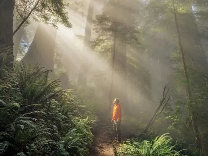 The Dissolving Of The Ego