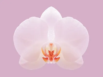 Personal Transformation: Forgiveness Practice