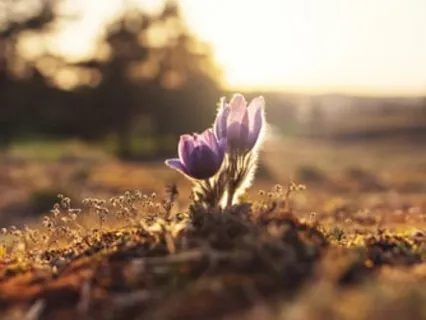 Personal Transformation: Pure Energy For The Deepest Levels Of Relaxation And Healing