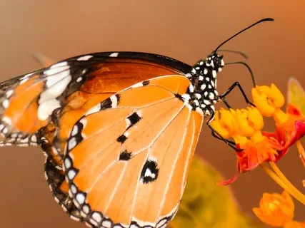 Personal Transformation | Becoming the Master Of Yourself, Your Thoughts & Your Emotions