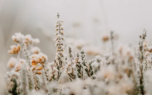 Personal Vulnerability