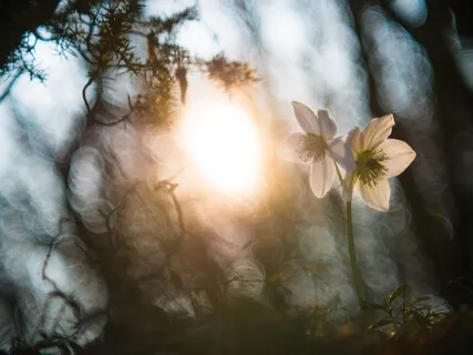 Perception & Gratitude