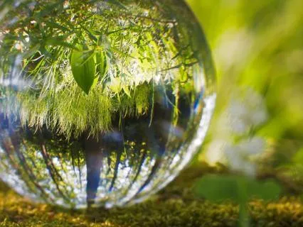 Perspective: Your Thoughts Shape How You See The World (Part 1)