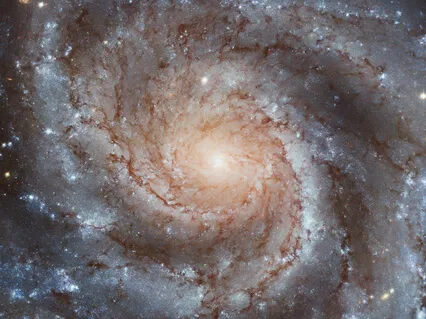 Perspectives: Life Gets In The Way