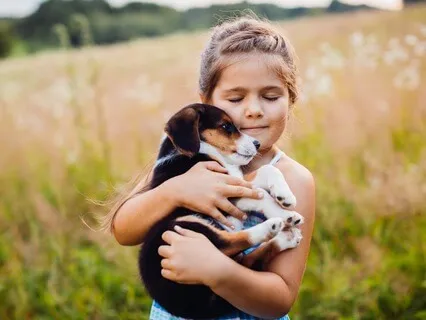 Pet Adventure: A Relaxing Meditation For Kids To Feel Calm