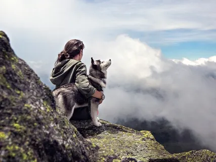 Pet Loss, Reflections #1