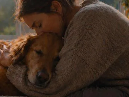 Pet Loss SOS: Support For Early Grief, Shock & Overwhelm