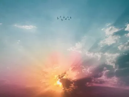 Pet Loss Support Meditation: Finding Comfort & Peace