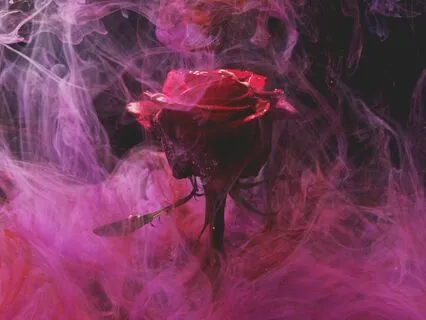 Petals Of Relief: A Rose Meditation For Headaches