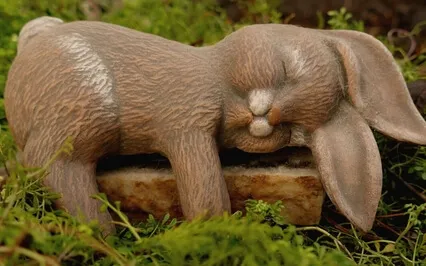 Peter Rabbit Bedtime Story