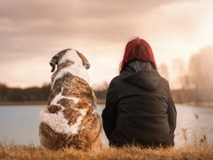 Petitation A Meditation Of Gratitude For Our Pets  