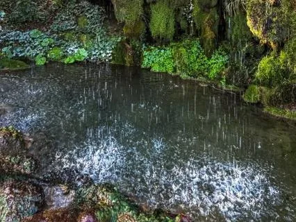 Petrifying Well Drips for Deep Calm (1 Hour)