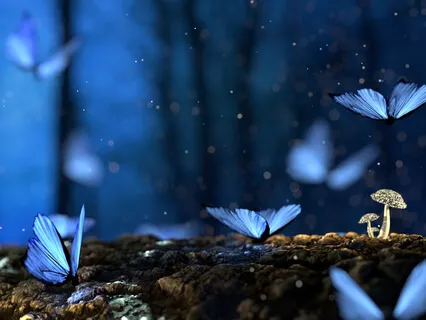 02: "Phantasie" - Piano & Rain Sounds