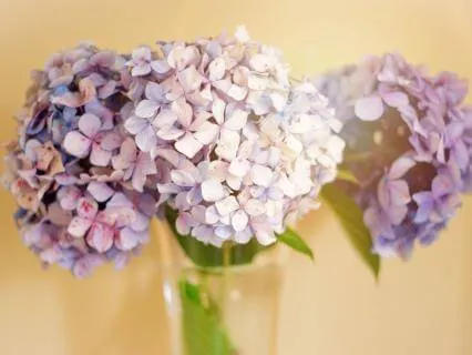 Phase 3: Viloma I Breath Practice And Sound Healing