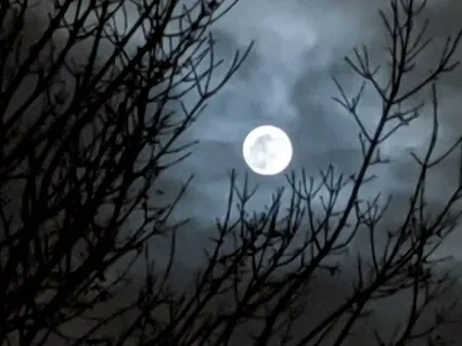 Phases Of Meditation 