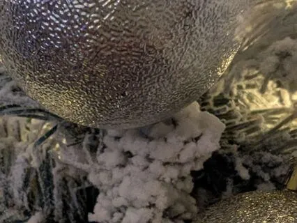 Phoenix 2025 Version