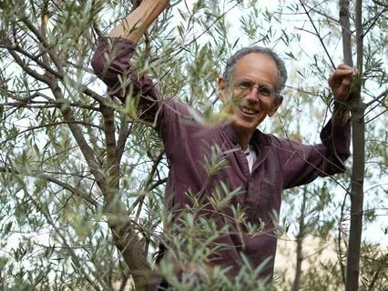 Phoenix Rising: Rebuild Your Strength