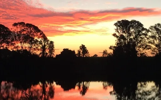 Physical Body Healing With Mother Earth (Extended Version)