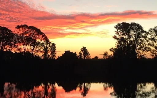 Physical Body Healing With Mother Earth (Shortened Version)