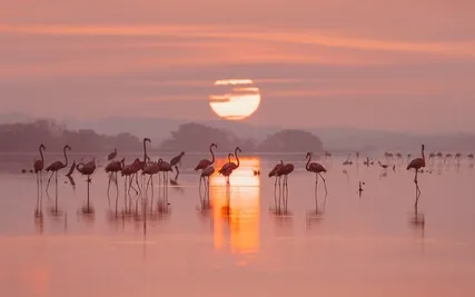 Physical Doing Vs. Mental Doing!