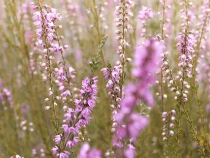 Physical, Emotional, & Spiritual Wellbeing