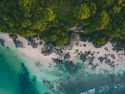 Physical Pain Relief Through Frequency | 8D Isochronic Tones