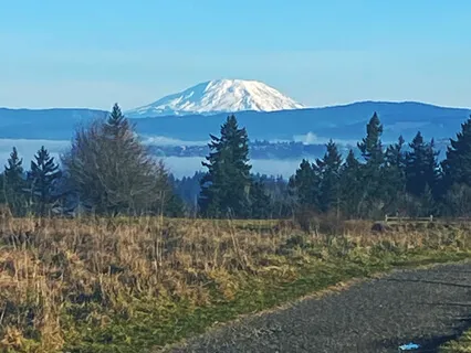  Physical Pain - Responding With Prayer