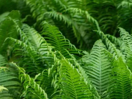 Physical Well-being - Power Punch