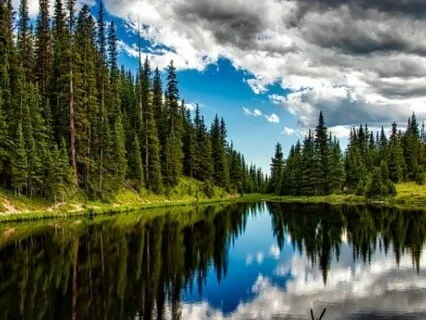 Raise Your Physical Wellbeing Frequency