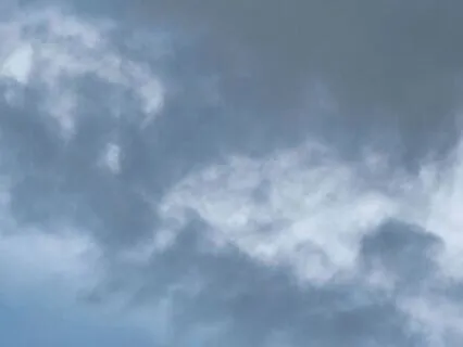 Physiological Gratitude: Calm Your Body, Soothe Your Mind