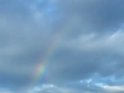 Physiological Sigh or Cyclic Sighing (with rain)