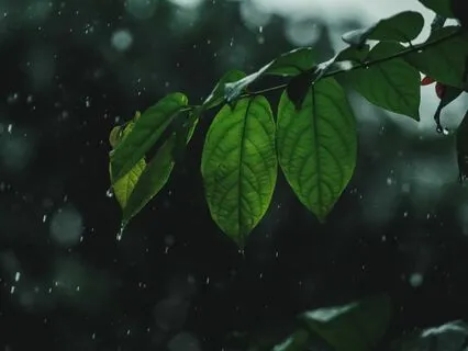 Piano & Rain For Relaxation & Focus