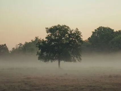 Piano 432 Hz To Deep Rest And Calm – Ethereal Nightfall Mist