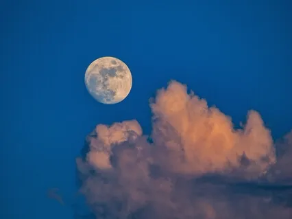 Piano & Cello (Part 3) [Feat. Ardie Son]