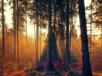 Piano And Cello | Releasing Stress