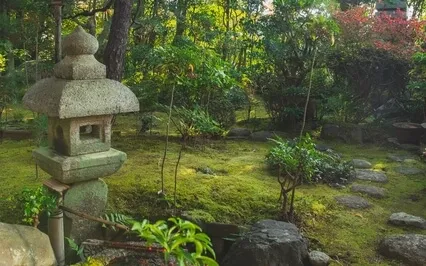 Piano & Crickets (Binaural)