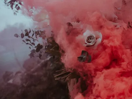 Flowers In The Heart (Piano & Strings)