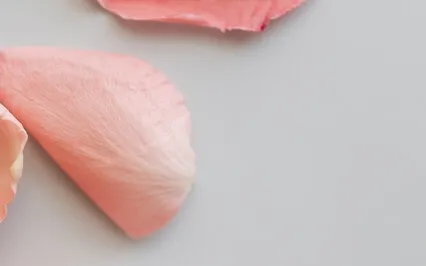 Piano & Voice (Live) Shanti