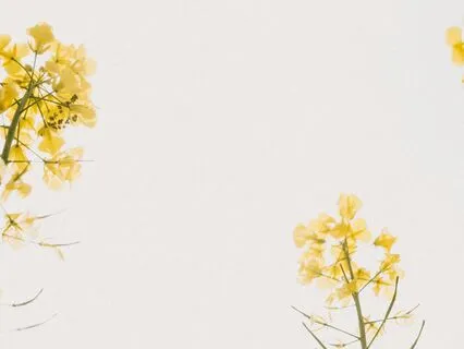 Piano Binaural Para Calma Profunda