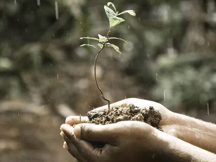 Piano e Chuva (Piano & Rain)